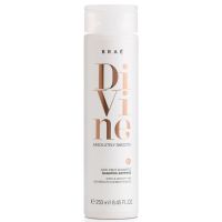 Brae Divine Anti Frizz Shampoo Шампунь для збереження гладкості волосся, 250мл